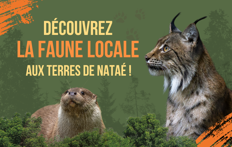 Week-end Faune Locale